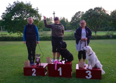 Rallylydnad 28 juni 2016 forts B