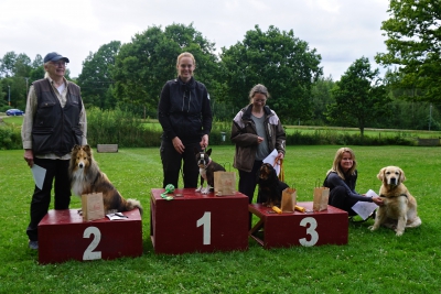 Rallylydnad 5 juli 2017 Avancerad B