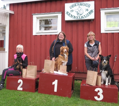prispall a rally 12 juli 2016
