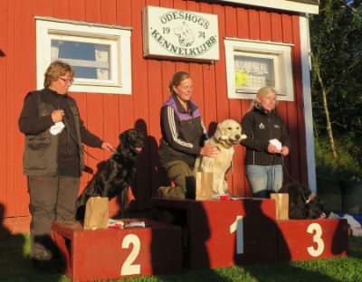 prispall a rally 21 juni 2016