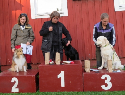 prispall b rally 21 juni