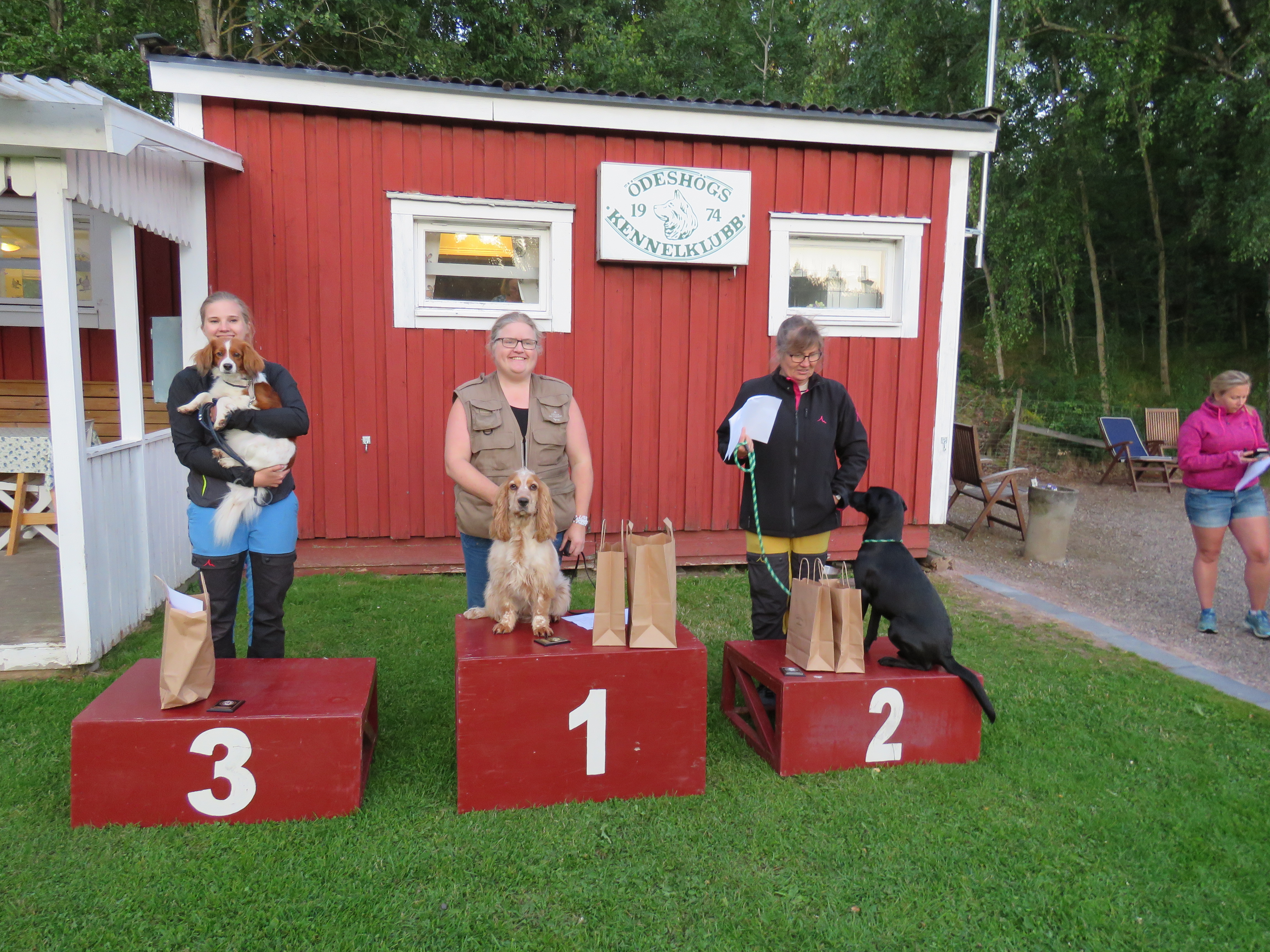 rallylydnad avancerad 18 juli 2017